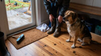 4 Things People With Clean Carpets Always Have In Autumn – Muddy Season Essentials You Need