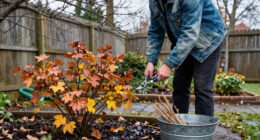 Stop Pruning These 11 Shrubs Every Crisp October & Thank Us Later